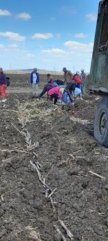 primaria_maria's tweet photo. "La agricultura es la única fuente constante,  cierta y eternamente pura de riqueza."  #JoséMartí https://t.co/GILbZ4Nhl0