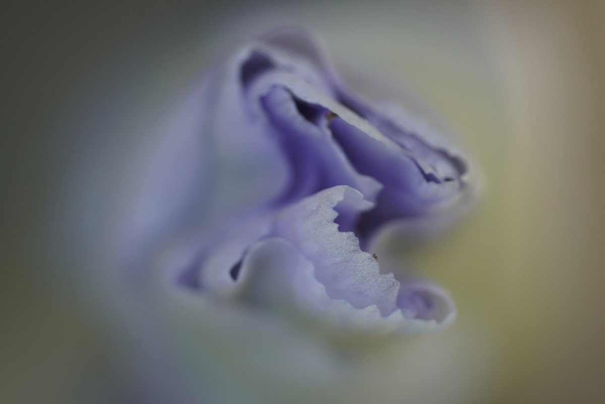 Ed Colmar (@edcolmar) on Twitter photo 