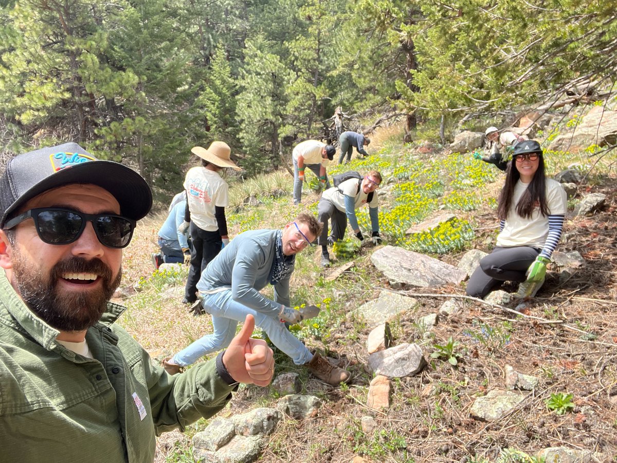 WorkInProgress tweet media