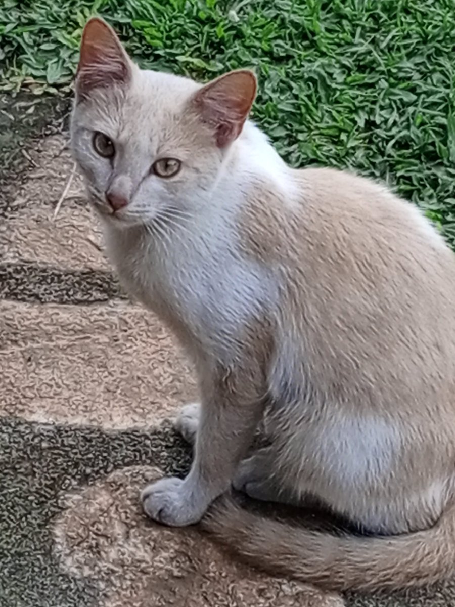 Some ❤️ for miss