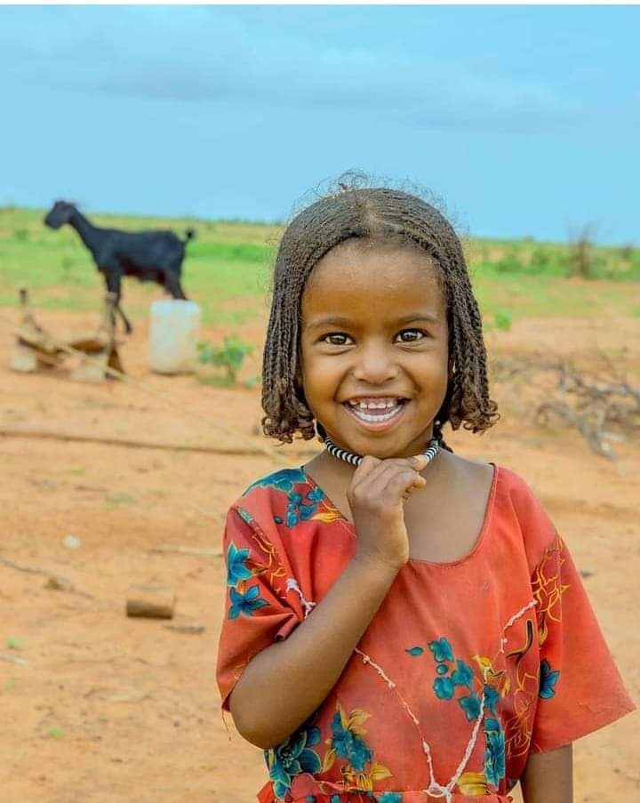 بكرة نرجع تاني للكلمة الرحيمة ، عشان عيون اطفالنا ما تضوق الهزيمة .

والسلام يعم بلدنا غيمه، ونتسلام ونتحضن عشان عيون عزه الرحيمه.