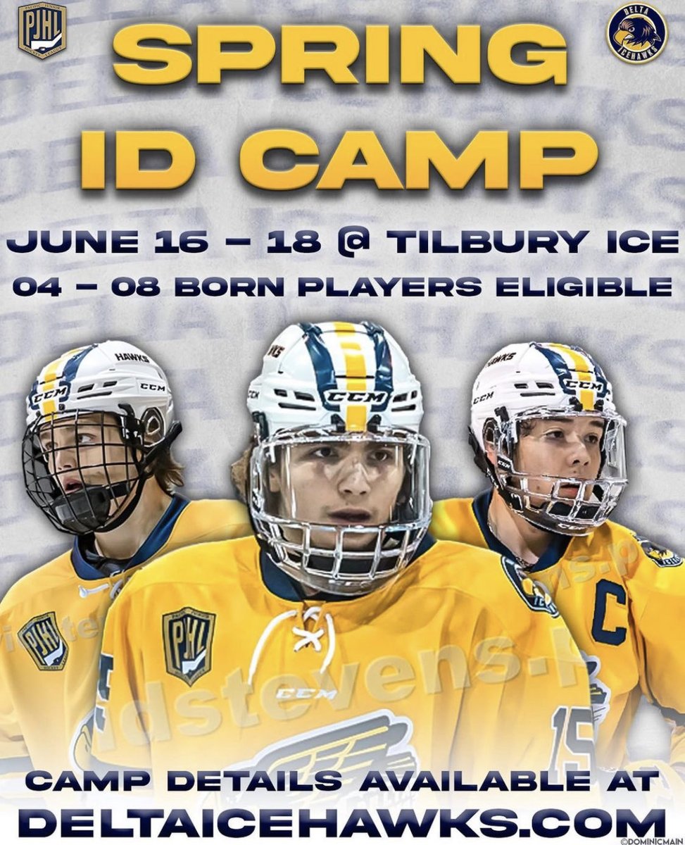 Delta Ice Hawks tweet media