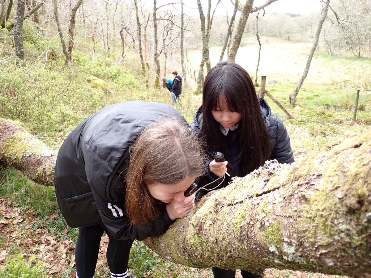 Secondary school pupils enjoying seeing the lichens and mosses growing on the trees & learning about woodland animals in #WalesOutdoorLearningWeek It's great to be able to share such a rich habitat with local school children; Thank you @coedceltaidd and @CoedCadw #natureeducation