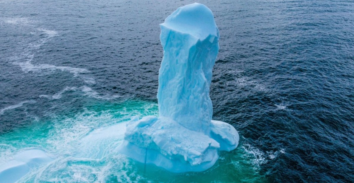 Antarctica has so much to offer!