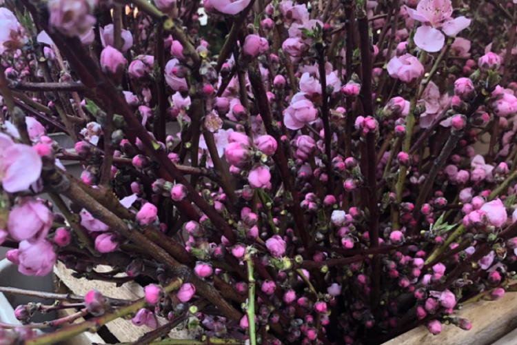 We’re enjoying all the pleasant patios of DC this season ~ @convivialdc + <a href="/CorkDC/">Cork Wine Bar and Markets</a> + <a href="/DachaDC/">Dacha DC</a> + #DelMarDC + <a href="/DLenaDC/">DLeña</a> + <a href="/ElectricCoolAid/">Electric Cool-Aid</a> + <a href="/FairmontDC/">Fairmont Washington</a> + <a href="/federalistpig/">Federalist Pig</a> + @FiolaMareDC + <a href="/FlightWineBarDC/">Flight Wine Bar</a> + #TheFountainInn <a href="/hook_hall/">Hook Hall</a> ++
thelistareyouonit.com/buzz/pleasant-…