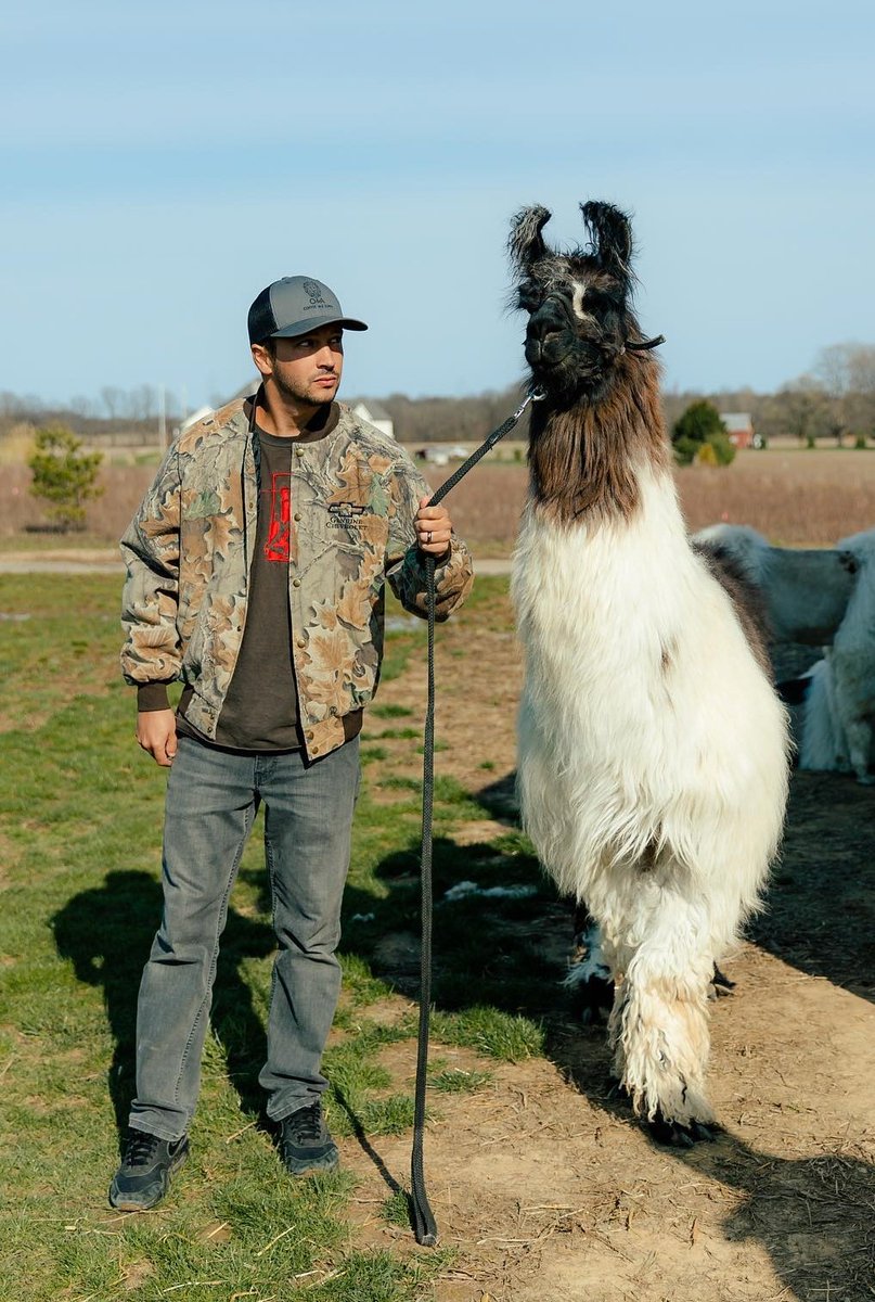 tyler joseph with a llama?!