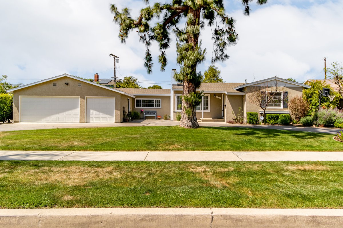 Zeus Living tweet media