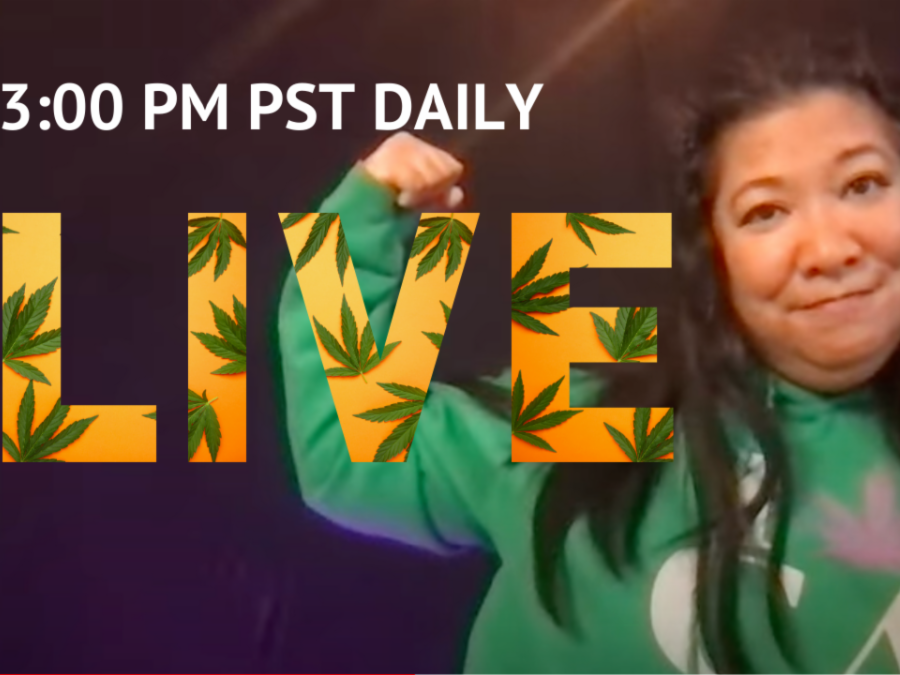 CeleMichelly's tweet photo. Join me on YouTube LIVE every day this week!

Today's tantalizing topic... Dosing Math: You Don't Even Need It 🤯???

Join me live on YouTube, just search Michelle Crawford Cannabis 💚

https://t.co/tzVcPxhBIg https://t.co/4u7AijJ9pZ