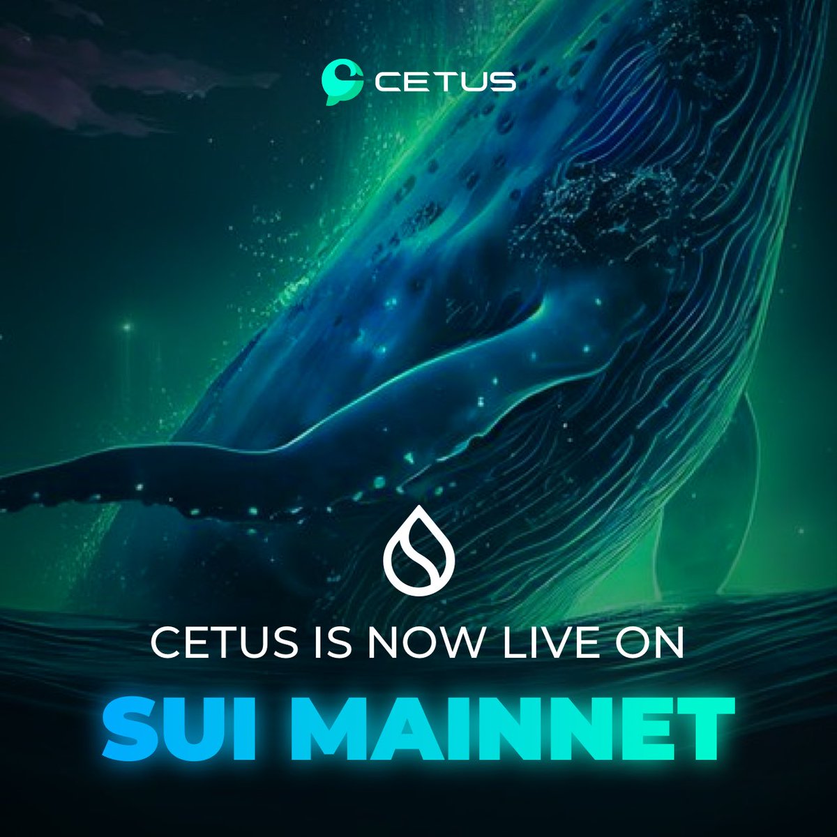 Ladies and gentlemen📢. We are thrilled to announce that #Cetus is now officially LIVE on the #Sui Mainnet! 🚀🚀 Glad to add the first building block to the Sui DeFi ecosystem. <a href="/SuiNetwork/">Sui</a> <a href="/Mysten_Labs/">MystenLabs.sui</a>

Visit ​app.cetus.zone to start swapping &amp; LPing on Sui today. LFG!🐳
