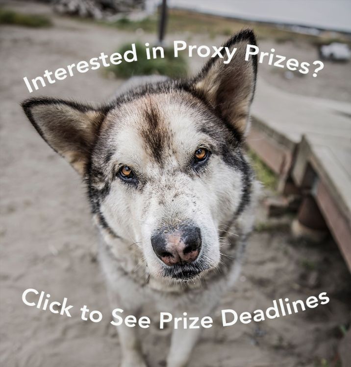 💸Top Prize $10,000: Annual Meeting of Shareholders Voting is Open! - mailchi.mp/calistacorp/20… #Alaska #AlaskaNative #NativeBusiness