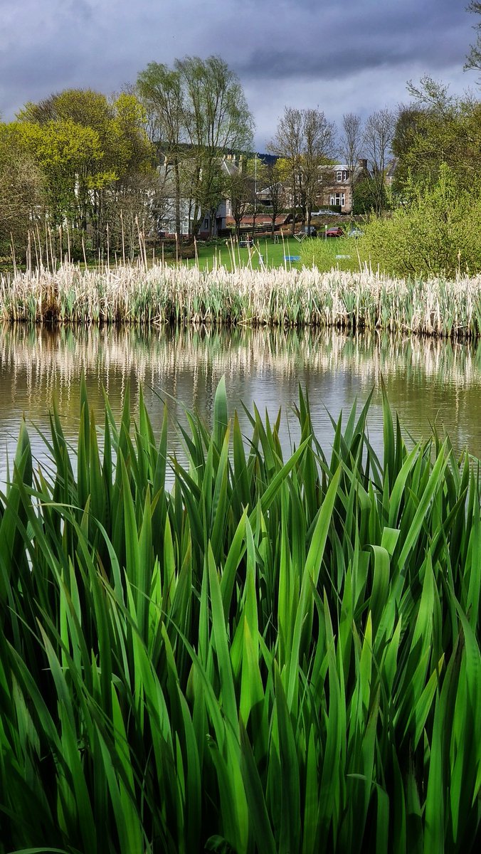 A wander round the duck pond. @ScotsMagazine @DGWGO @VisitScotland #Sanquhar #dumfriesandgalloway #Scotland