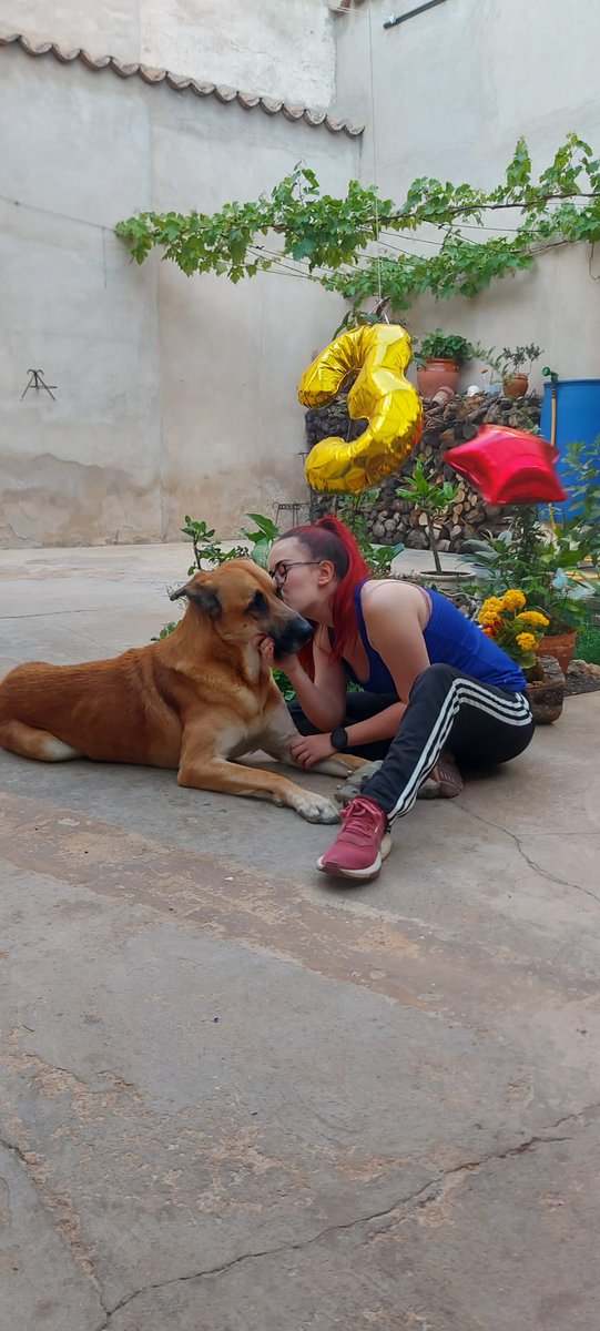 SritaaSweet's tweet photo. Tercer cumpleaños de este leoncillo ❤️ https://t.co/cL8UZMbcBq
