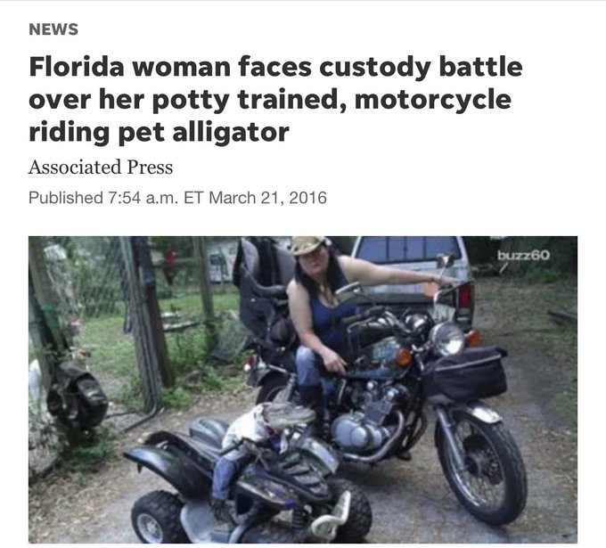 GatorsDaily's tweet image. needed this today