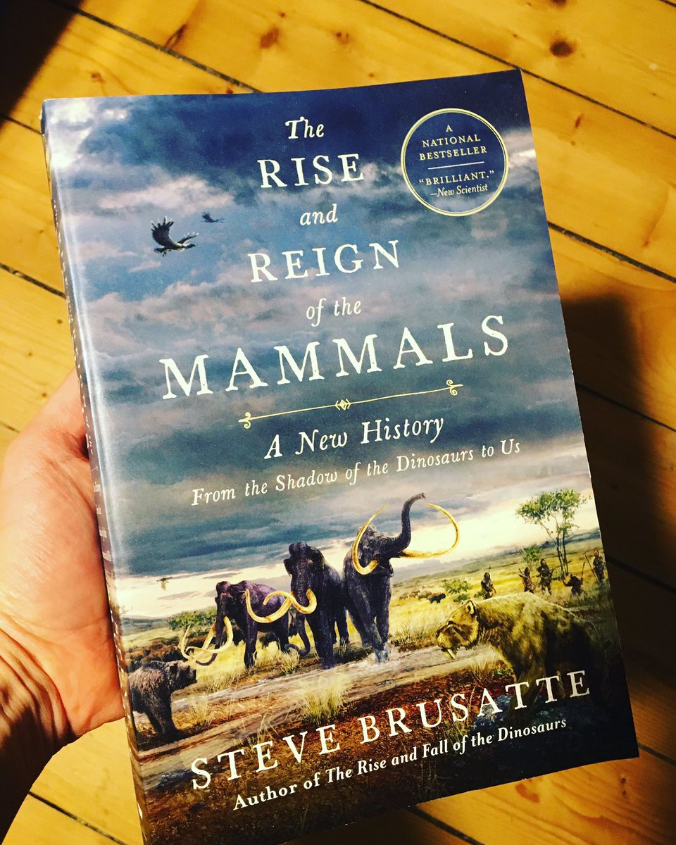 Steve Brusatte tweet media