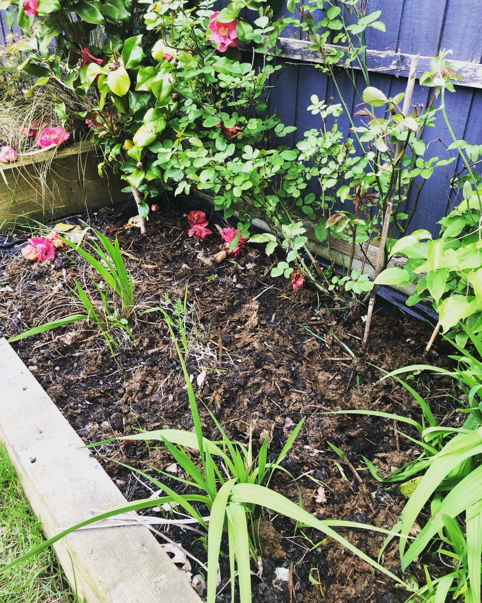 Valuable FYM gone into beds need to start growing some veg but rather buy off my customers keep them going