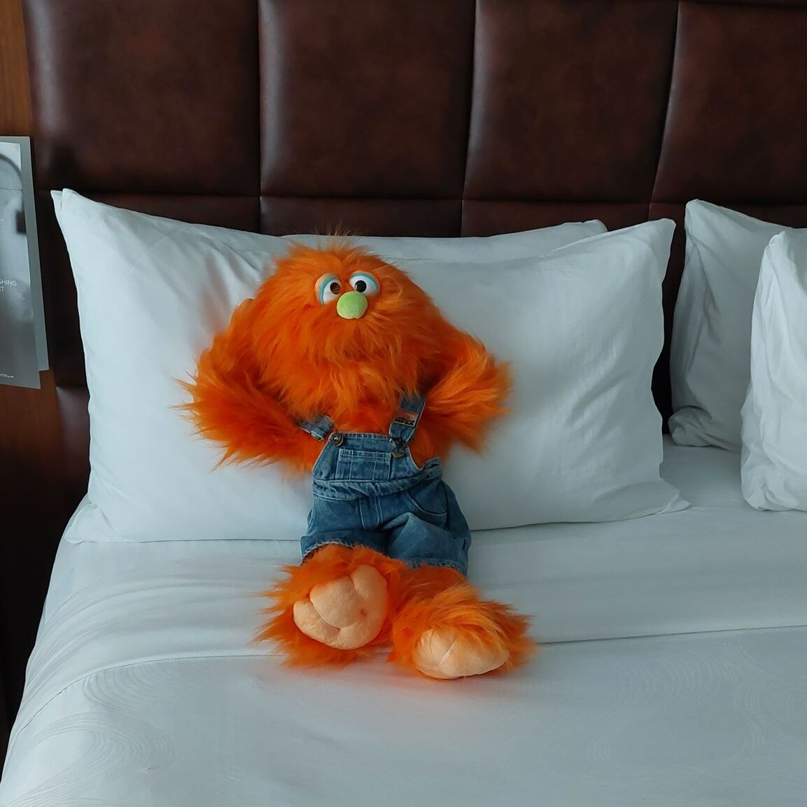 Testy McSprinkles tweet media