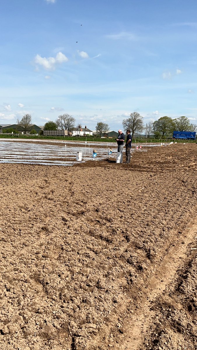 Jim Clark tweet media