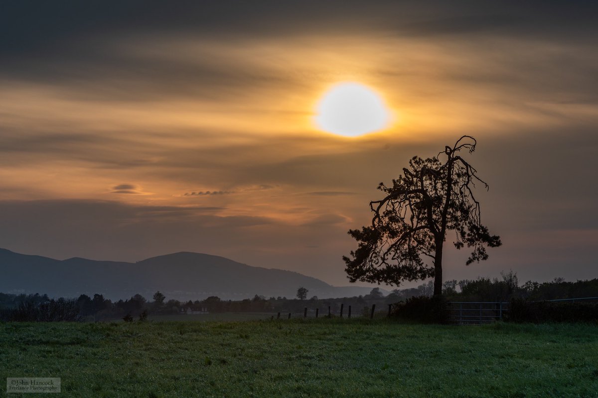 ‘The Lonely Scott’ - This evenings sunset, a rather nice location, directly in the flight path of the air-ambulance, no such luck this evening though…#sunset  #pine #scottspine #pinussylvestris #nikon #worcestershire #WorcestershireHour