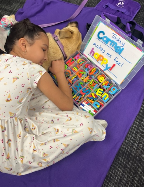"Today ______ makes me feel ______"

All six kids practicing their spelling with Pet Therapy Team Kerry and Carmel immediately replied, "HAPPY!" 

#pettherapy #feelgoodfriday #petshelpingkids #volunteersmakingadifference #positivenews