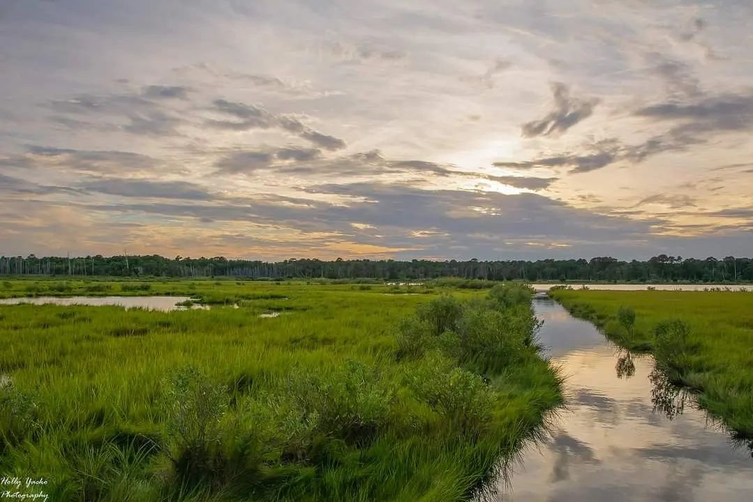 Visit_NJ's tweet photo. A touch of orange and a hint of yellow, NJ skies are worth it. 
📍 Cattus Island County Park, New Jersey 
.
.
.
📷: @keep_jersey_wild (via Instagram) 
#VisitNJ #NewJersey #NJSunsets #CattusIsland https://t.co/VDygXVdSoJ