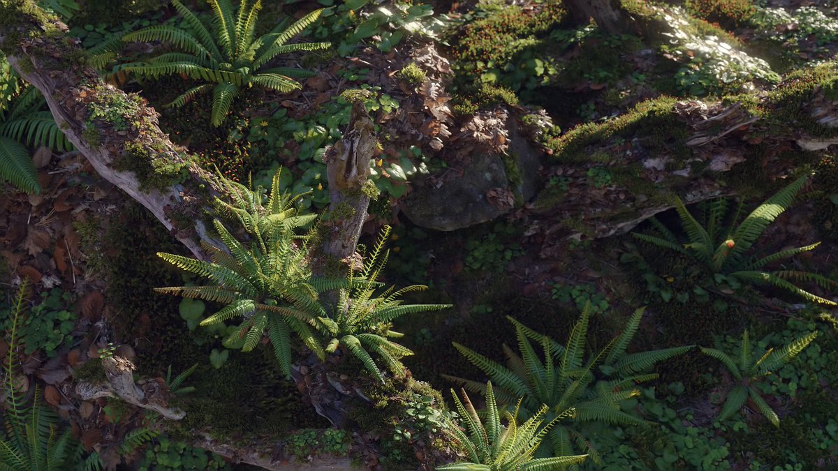 Tomorrow the Moss Biome will get a little update😁

 #b3d #Blender3d #vfx #blender初心者 #GeoScatter #blendercommunity #blender