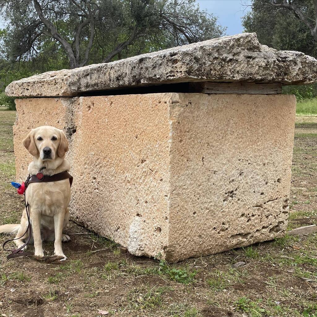 MyEclecticImage's tweet photo. Splendid travels to  Olynthus archeological site to pose beside a sarcophagus. The remains of the community date back to  about 400 BC. @visithalkidiki #visithalkidiki  #urbancentersGR #olynthus @myeclecticimages #boomertravel #travelphotography #myeclec… https://t.co/sIuw7hMfoa