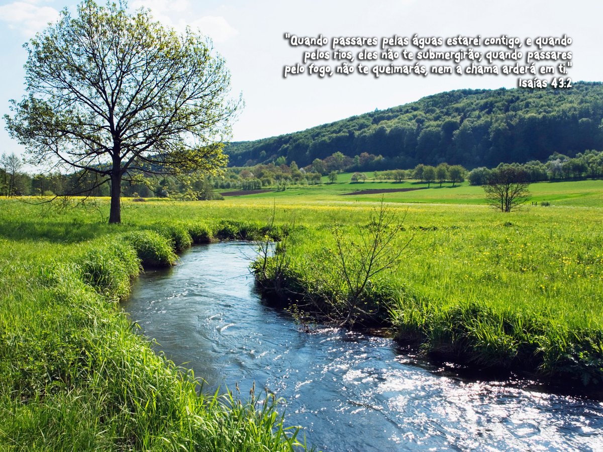 versiculos's tweet photo. Isaías 43:2 Quando passares pelas águas estarei contigo, e quando pelos rios, eles não te submergirão; quando passares pelo fogo, não te queimarás, nem a chama arderá em ti. https://t.co/bb6sC8mIYL