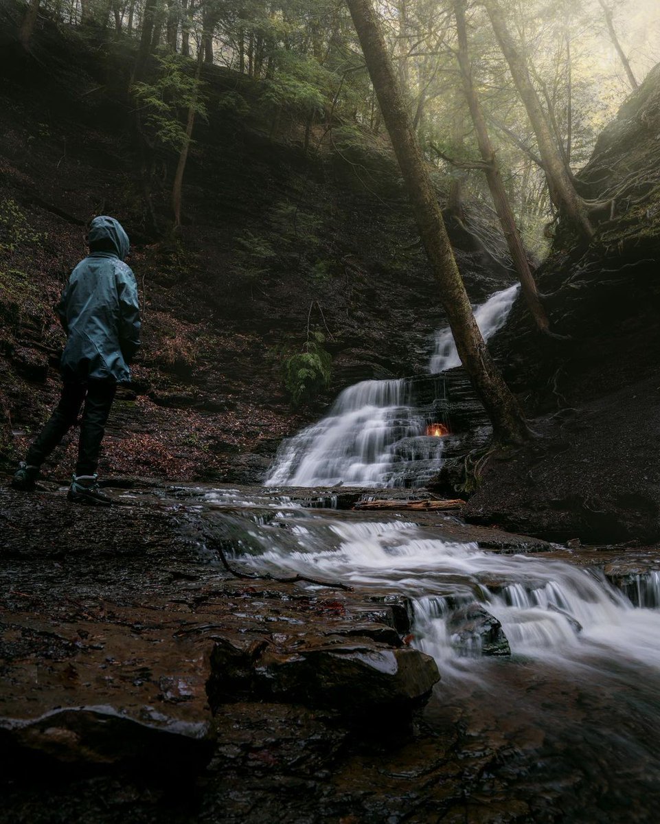 Finger Lakes Travel tweet media