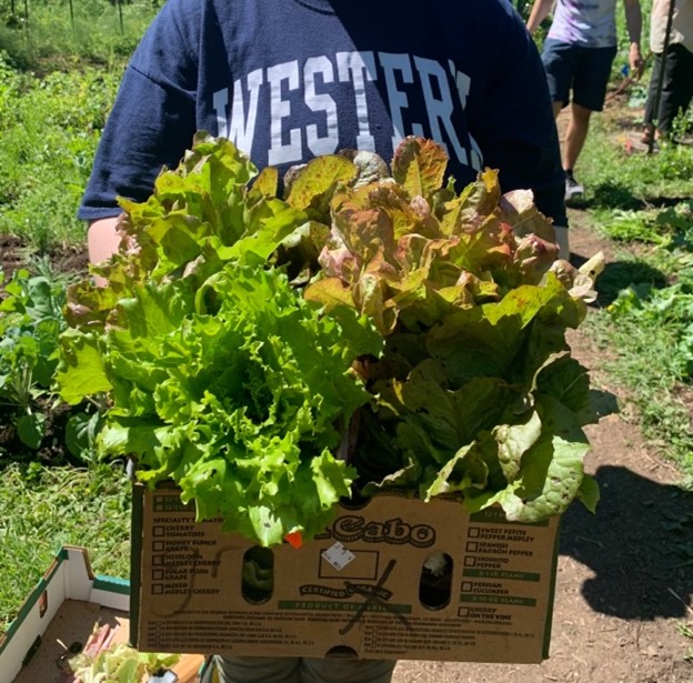 Addressing the #foodinsecurity crisis on college and university campuses will require rethinking the political and economic challenges #collegestudents face in this #neoliberal moment. <a href="/WWU/">WWU</a> #highered Read the full <a href="/JAFSCD/">JAFSCD</a> article for free: bit.ly/42kwuIJ