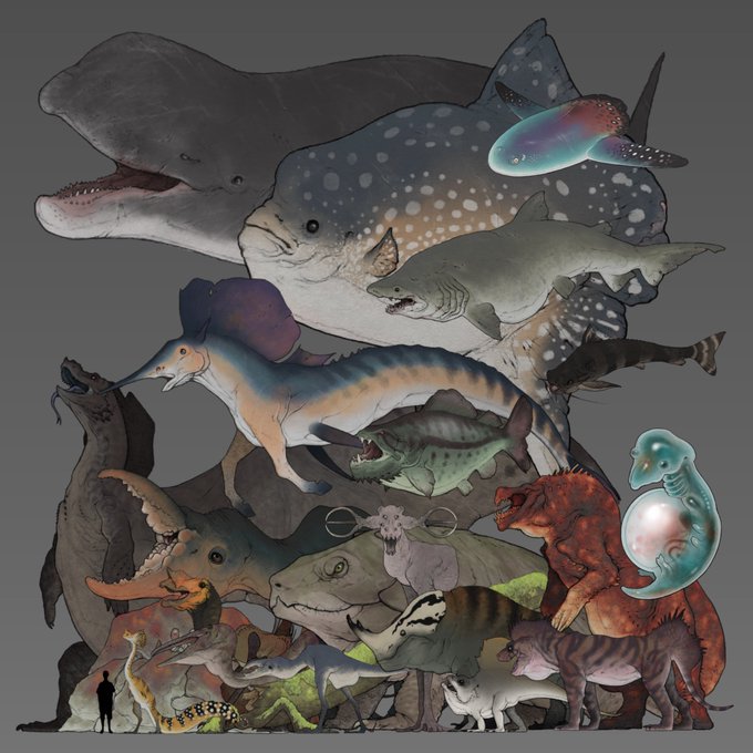 「dinosaur shark」 illustration images(Latest)