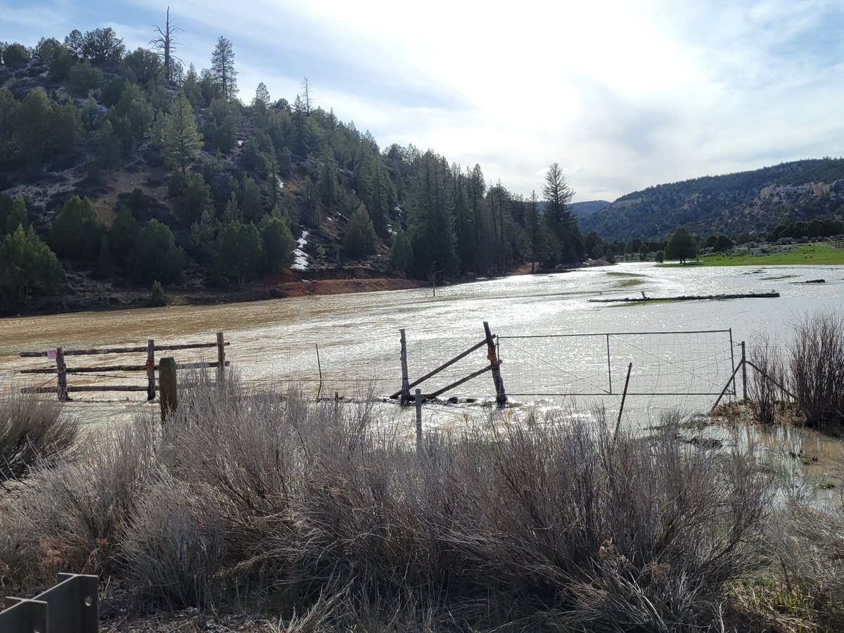 KUTV2news on Twitter: 