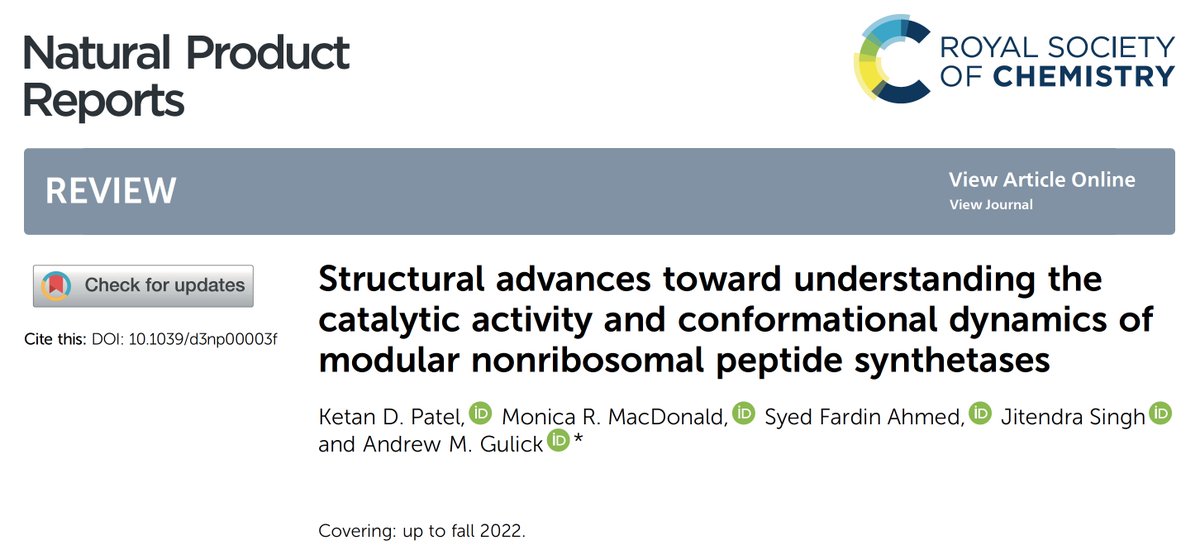CATLab20's tweet image. Read a comprehensive overview of NRPS structures from deep background over time to new insights into protein dynamics and functional diversity. Excellent!