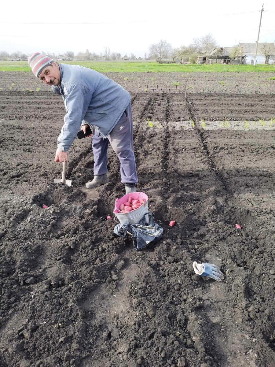 Ukraine TrustChain tweet media