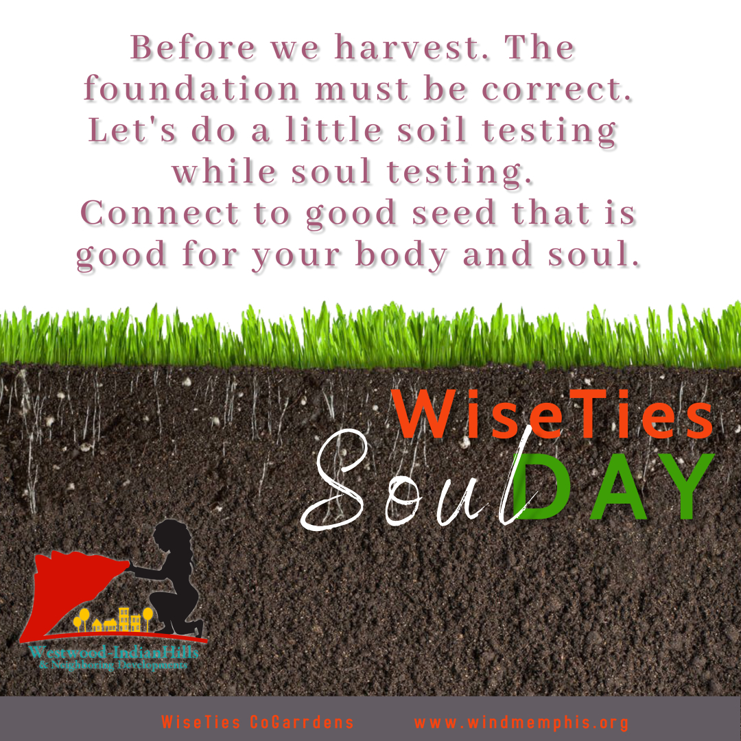 wind_memphis's tweet photo. https://t.co/q9GrqbnhtM