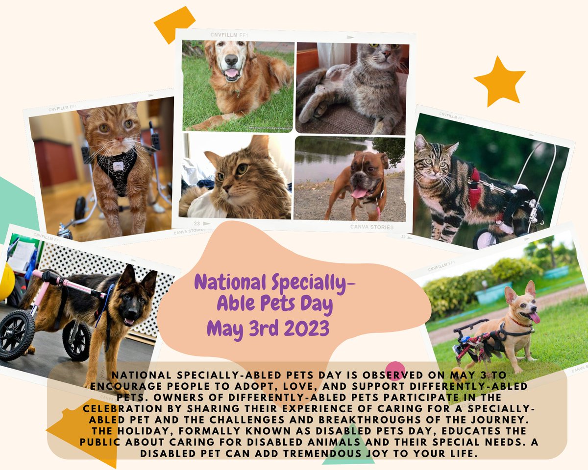 #NationalSpeciallyabledPetsDay #speciallyabledpetsday #speciallyabledpets