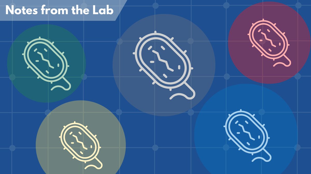 Tal Korem, PhD, (@tkorem) shares how his lab is using a new decontamination method to prevent blood-borne microbial DNA samples from contamination and improve cancer diagnostic tools.
cancer.columbia.edu/news/notes-lab…