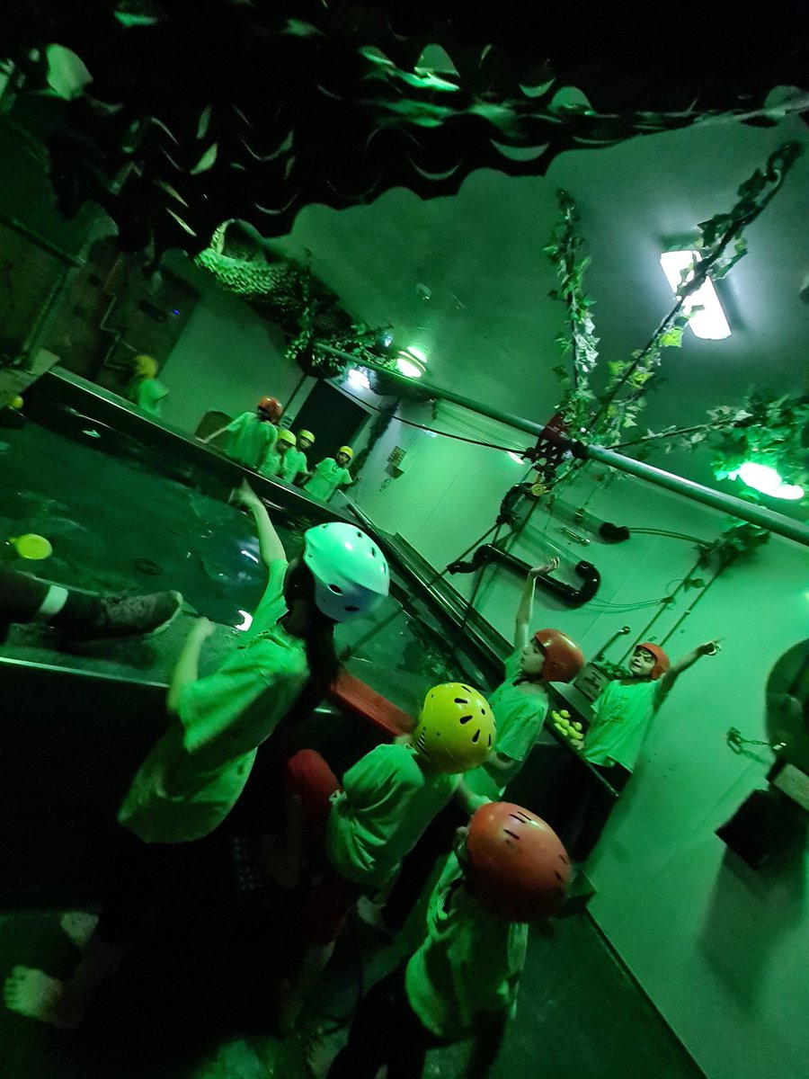 StVincentsPr's tweet photo. Year 5 enjoying Day 1 at @RealRobinwood #cratechallenge #trapeze #piranhapool #nightline #faceourfears #collaboration #support #makeadifference https://t.co/kKDtqNAAVN