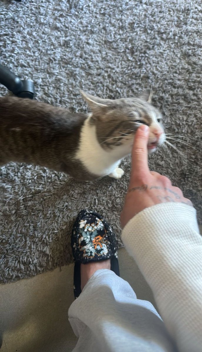 não deixa a angel em paz e depois reclama que ela é ruim pra ele <a href="/iforhacker/">vincent</a>