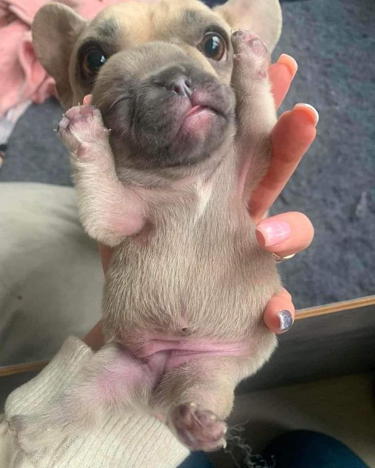 demorei pra entender essa foto