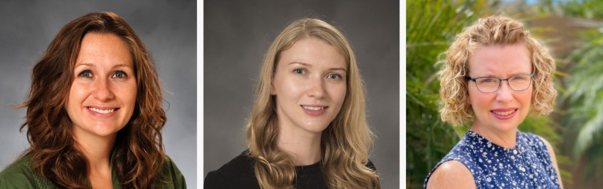 Outstanding Thesis in Social Science and Education.

Congratulations to the Clemmer faculty who were awarded their submission to the new Research Funding Program (RFP) at ETSU. Drs. Renee Rice Moran, Dr. Natalia Ward, and Dr. Kristie Calvin.