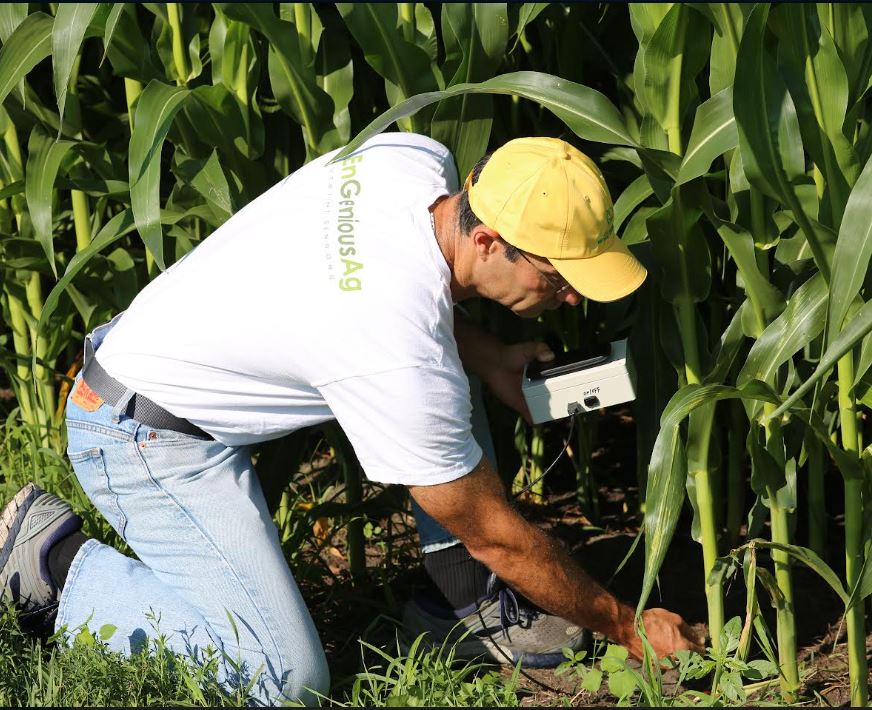 seedtoday tweet picture