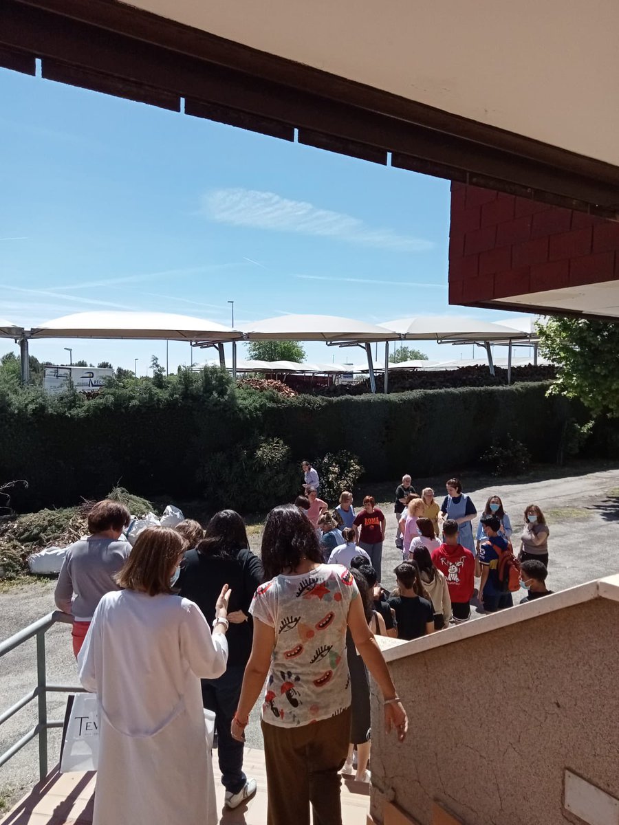 Los alumnos de 1 de la ESO asistimos a un taller fascinante de huellas de vertebrados en el Aula de la Naturaleza en la Finca El Bicherío de Villanueva de la Cañada. Aprendimos a identificar animales por sus huellas y hasta hicimos nuestras propias huellas en arcilla