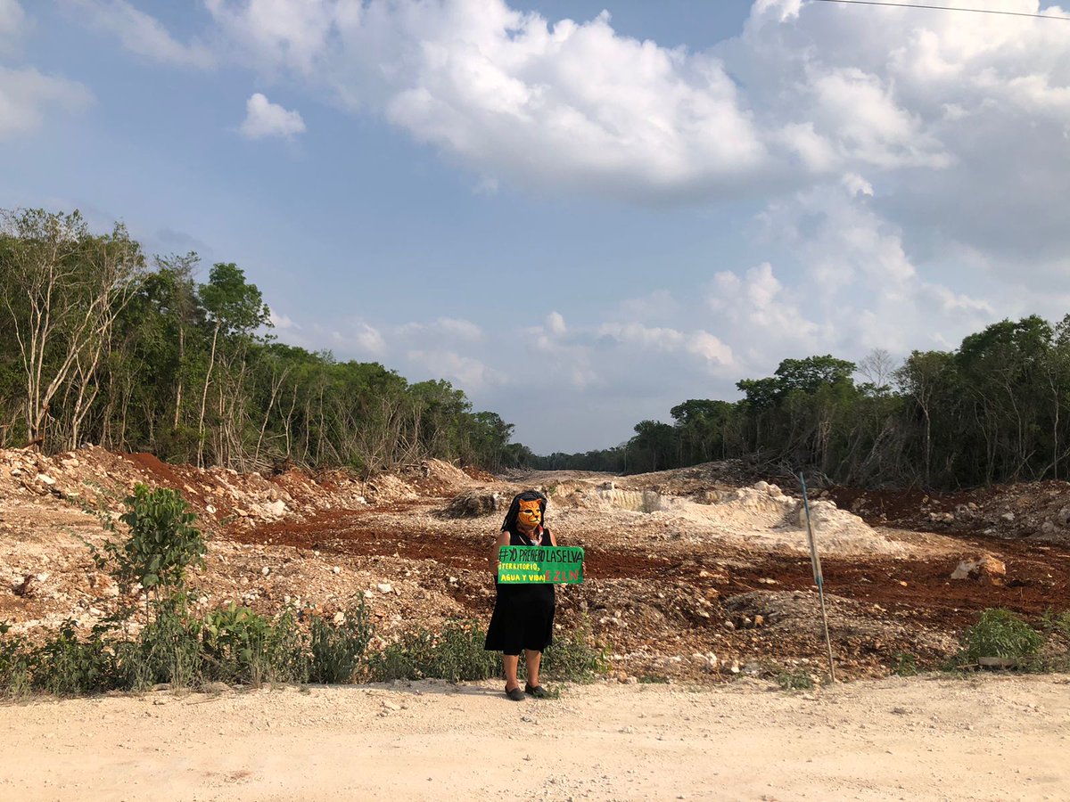 CNI_Mexico's tweet photo. La construcción del mal llamado tren maya destruye a su paso la reserva ejidal Much Kanan K'aax en Felipe Carrillo Puerto, rellenando humedales y talando la selva maya. https://t.co/0L7qdpde1G