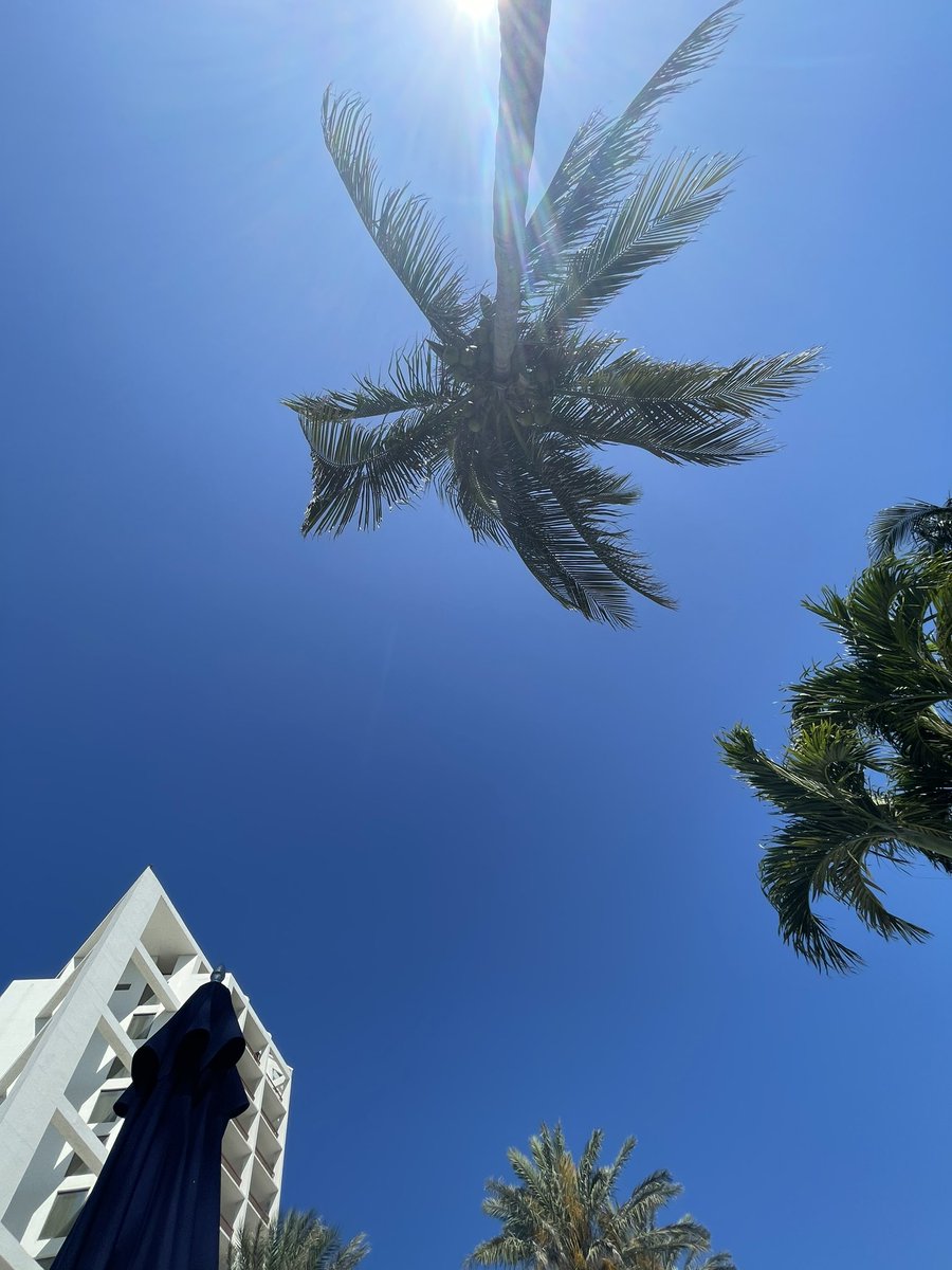 DEREKWTAYLOR's tweet photo. The 2023 #T3summit is a wrap. I’m humbled every day to work with this group of talented and dedicated individuals at @t3sixty Now for a minute in the sun. https://t.co/kQeAyH04Uz