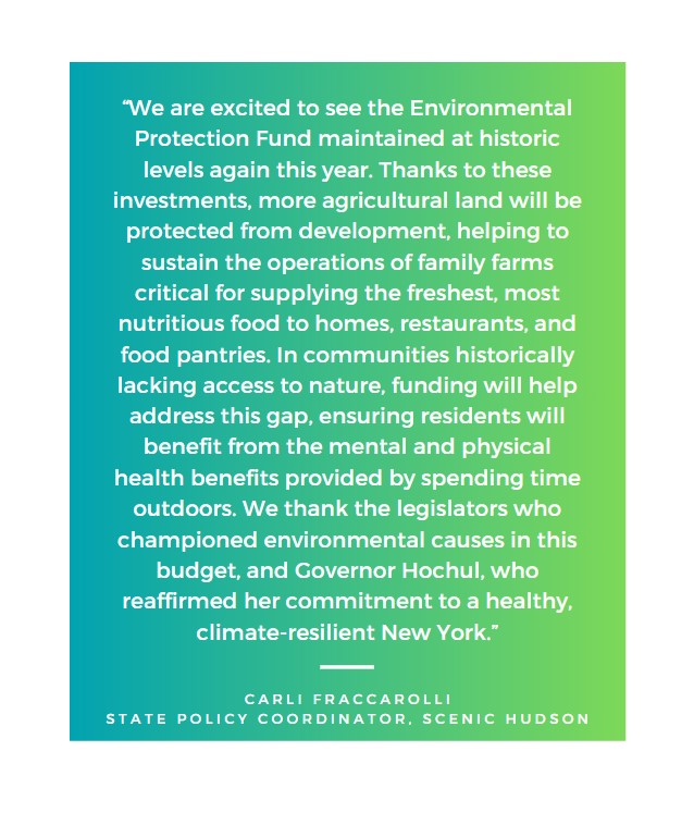 Carli Fraccarolli tweet media