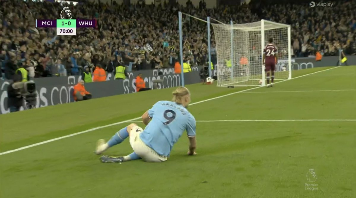 Sincerão tweet media