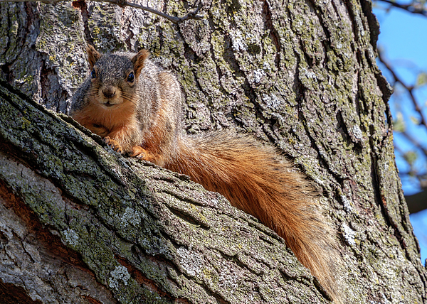 New artwork for sale! - "Over foreign lands" - fineartamerica.com/featured/over-… @fineartamerica