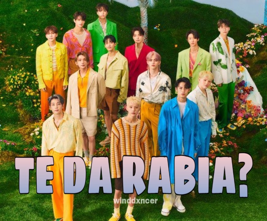 winddxncer's tweet photo. 🔥HILO DE MEMES "TE DA RABIA?" DE SEVENTEEN 🔥

Por demanda popular y también para tener un catálogo fijo. Este hilo se estará actualizando cada vez que se cree un meme nuevo 🤙

Comenzamos con los primeros 4 memes que existieron. Booseoksoon + ot13 https://t.co/JOMvCN8PhH
