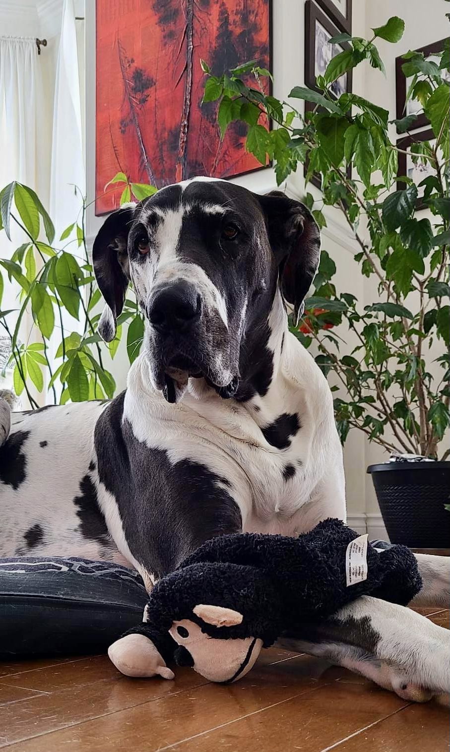 Jack on Twitter "Matt_Stoughton Agree. Please meet Mr. Benz https//t.co/Gt8hMKONFD" / Twitter