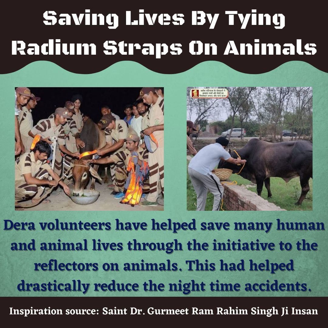 GeetanjaliChat5's tweet photo. Volunteers of DSS tie reflector belts to stray animals so that they can be saved from road accidents during night &amp; encourage others as well to #EndCruelty &amp; abuse against animals.With the inspiration of Saint Gurmeet Ram Rahim Ji, they arrange fodder, water &amp; shelter for them. https://t.co/YQ95jshLxq